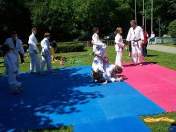 Bilder aus 2010 oder früher